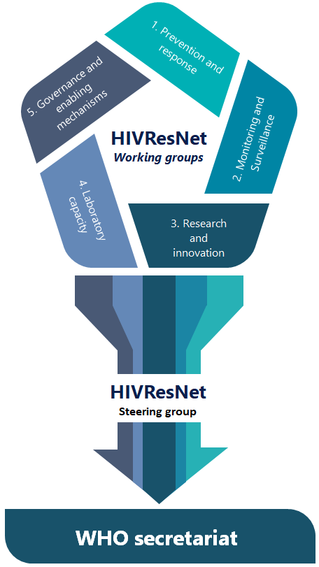 The five WHO HIVResNet Working Groups