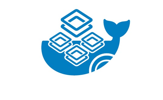 DHIS2-d2-docker-icon