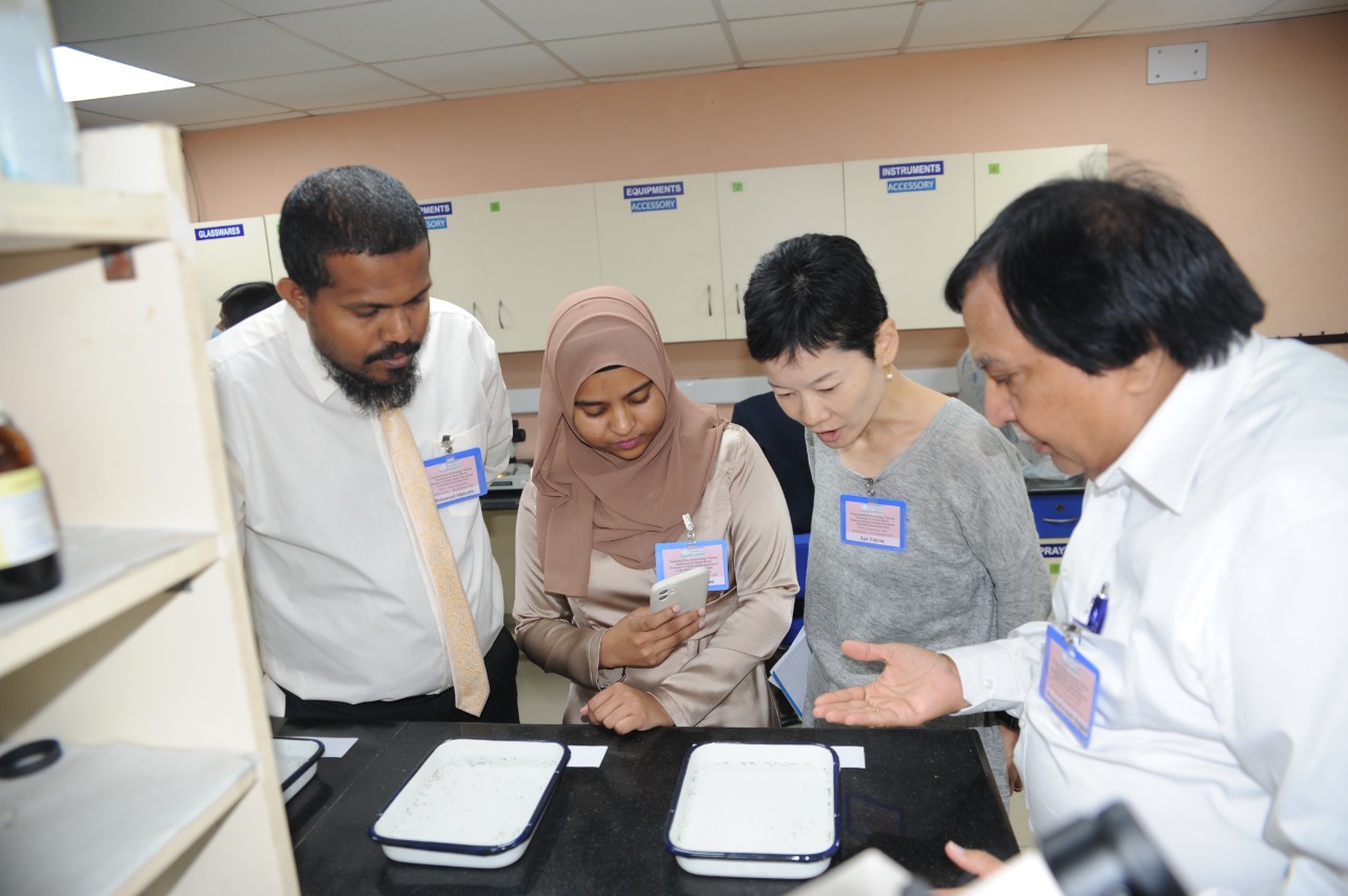 Participants observing different behaviors of mosquito larva by species