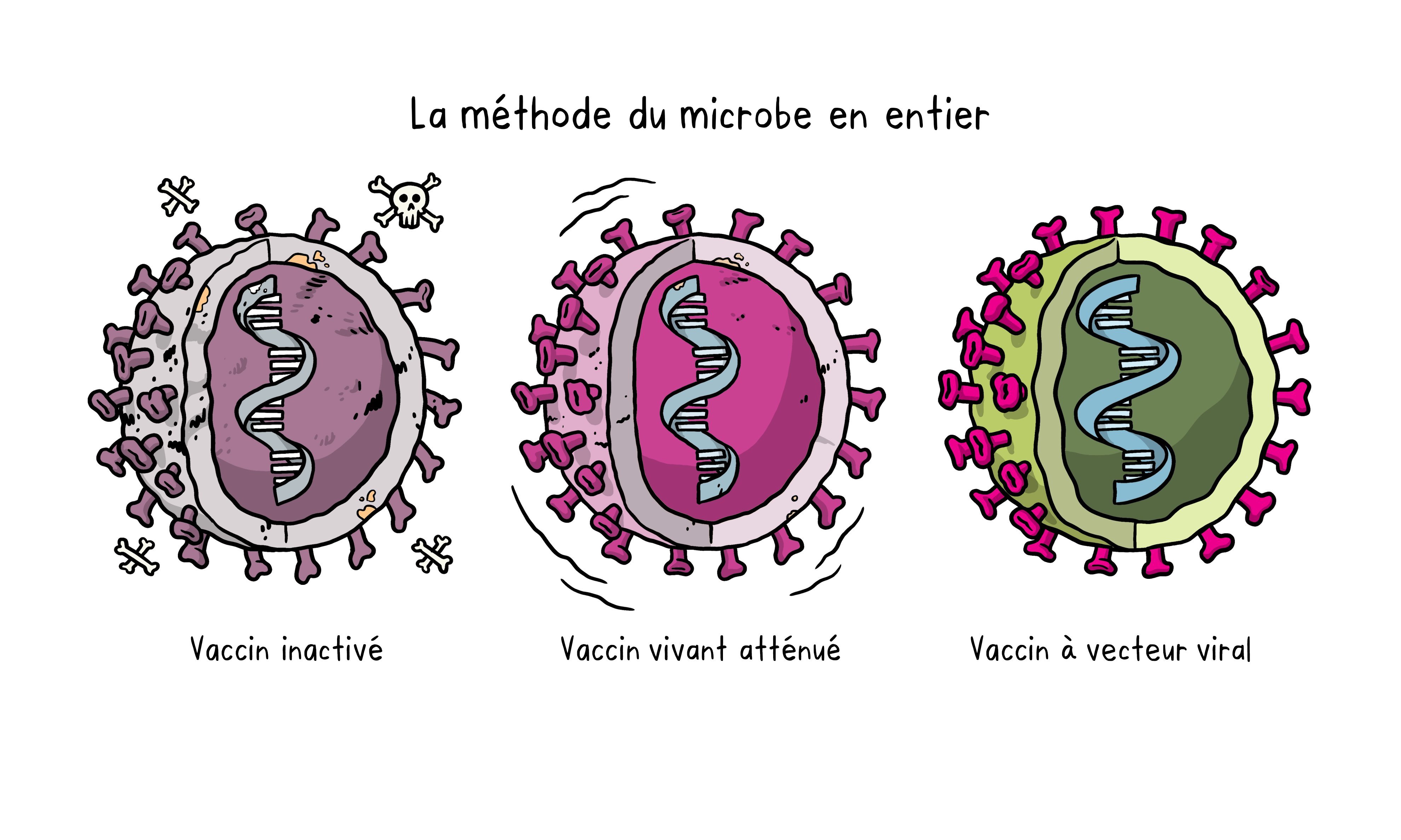 Vaccines Topics Four images working 02